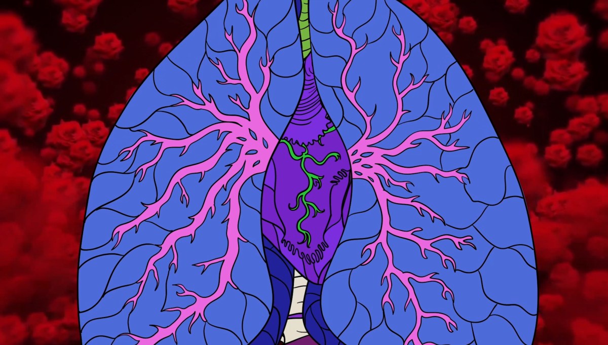 Patterns Animation β Welcome to my world